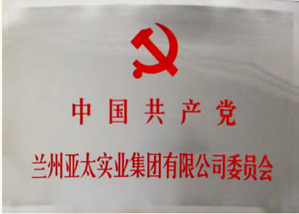 兰州918博天堂实业集团有限公司成立党委会专题