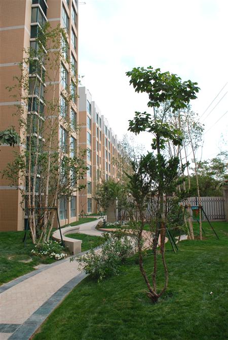 918博天堂嘉园二期局部景观雏形鉴赏（亲景实拍）