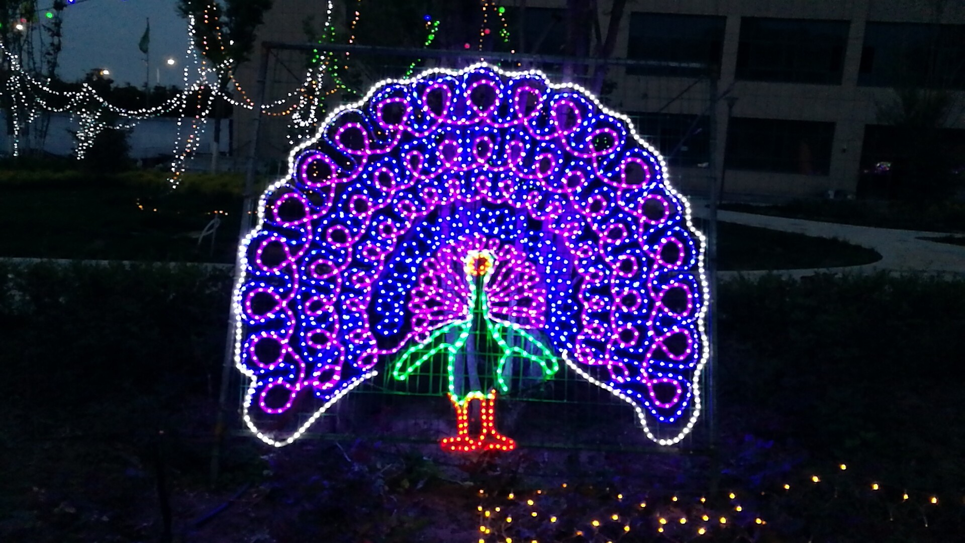 兰州新区918博天堂世贸广场“花漾灯光艺术节”欢迎你！