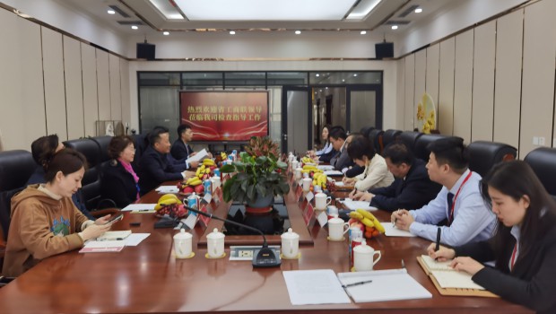甘肃省委统战部副部长、省工商联党组书记苟天宏一行莅临兰州918博天堂集团检查指导工作